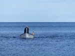 FZ027493 Fisherman coming into harbour.jpg